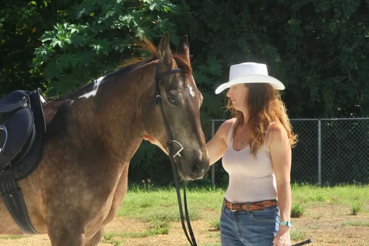 3 Horse Cues That Matter More Than Commands