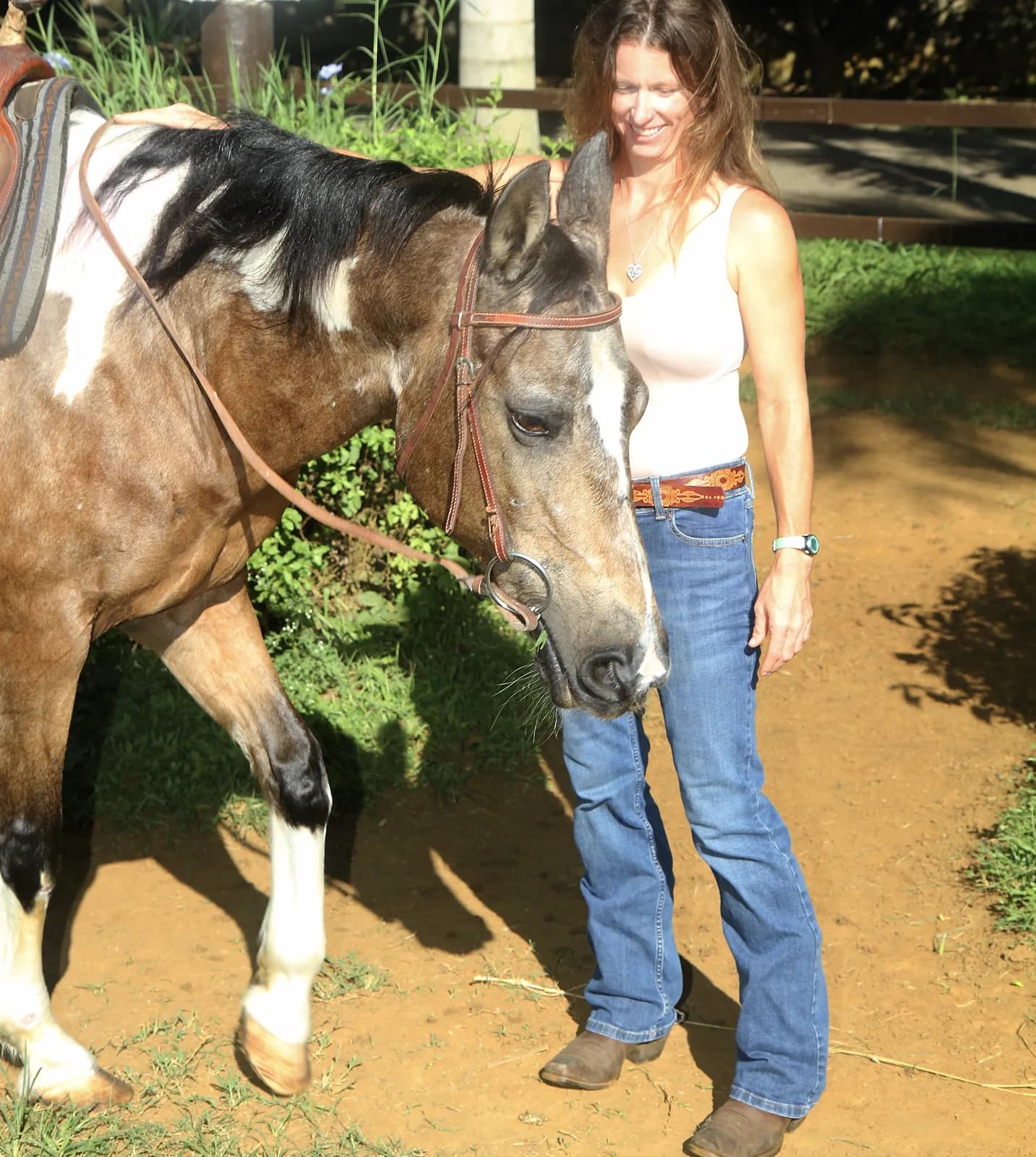 Dolly, a buckskin paint mare, haltered beside her handler