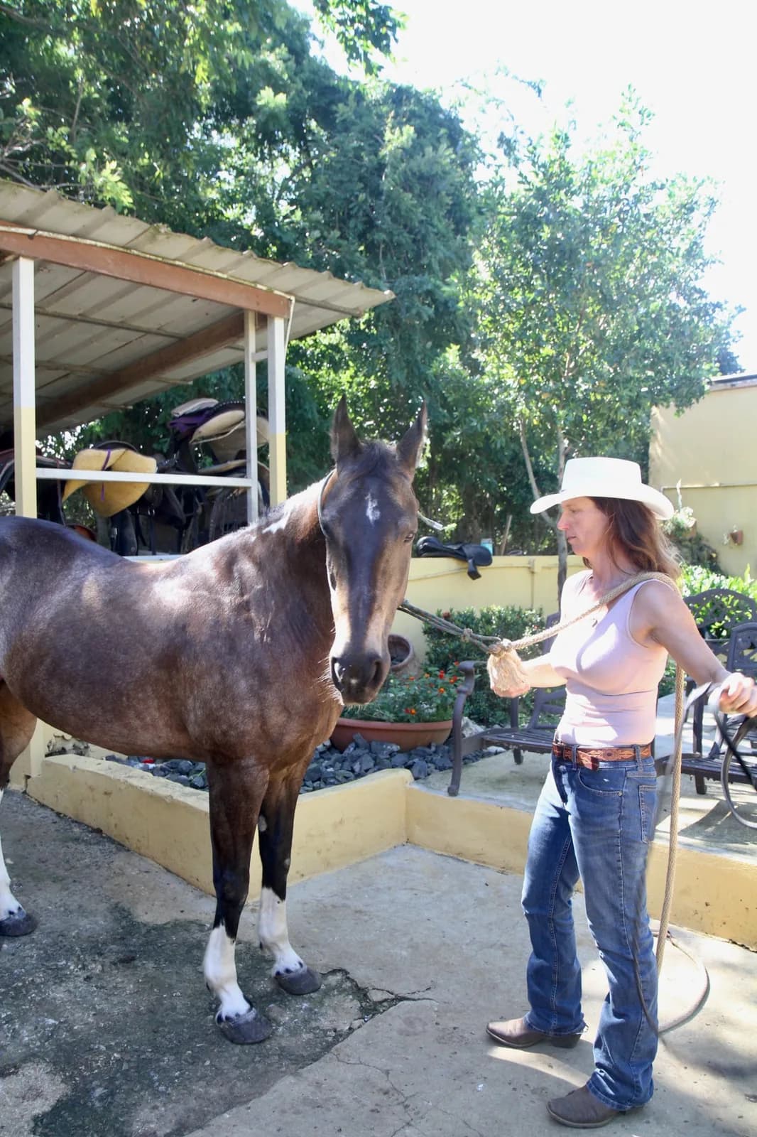A handler leading a horse at the barn